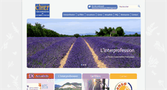 Desktop Screenshot of cihef.org