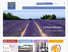 Tablet Screenshot of cihef.org